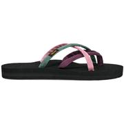 LILAS MULTI