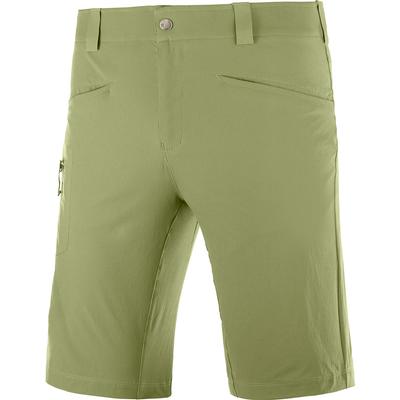 Salomon Wayfarer Shorts Men's