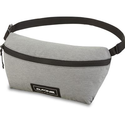 Dakine Hip Pack LT