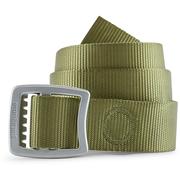 CAPER GREEN