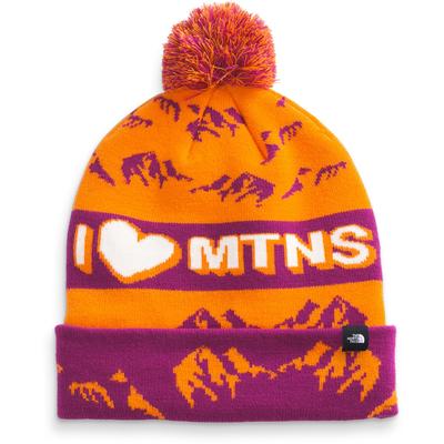 The North Face Ski Tuke Beanie Men's