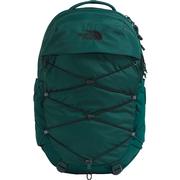 DEEP NORI/TNF BLACK
