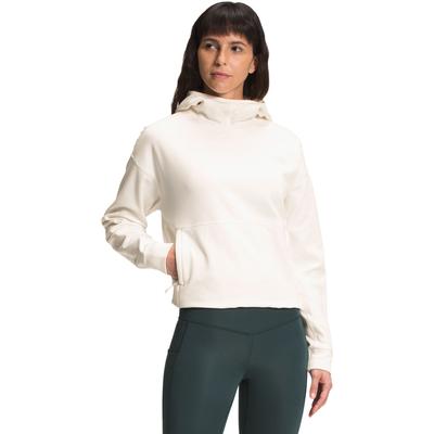 The North Face Canyonlands Pullover Crop Fleece Women's