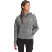 TNF MEDIUM GREY HEATHER