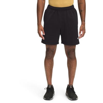 The North Face Never Stop Shorts Men's