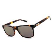 SHINY TORTOISE/BROWN POLARIZED