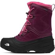 BOYSENBERRY/TNF BLACK