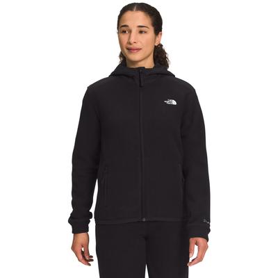 The North Face Alpine Polartec 200 Full Zip Hooded Jacket Women's