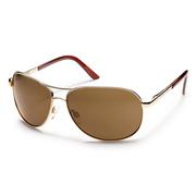 GOLD/POLARIZED BROWN