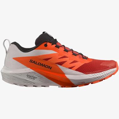 Salomon Sense Ride 5 Trail Running Shoes Men's