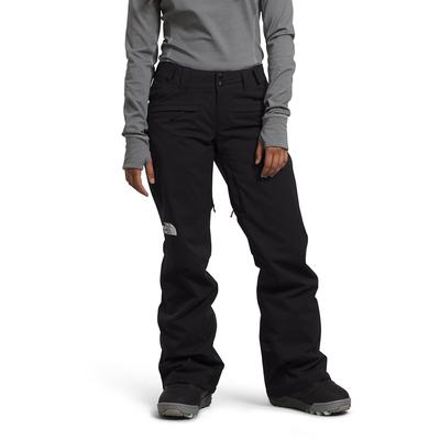 The North Face Freedom Stretch Shell Snow Pants Women's