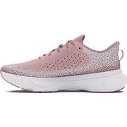 PRIME PINK/PINK ELIXIR/WHITE