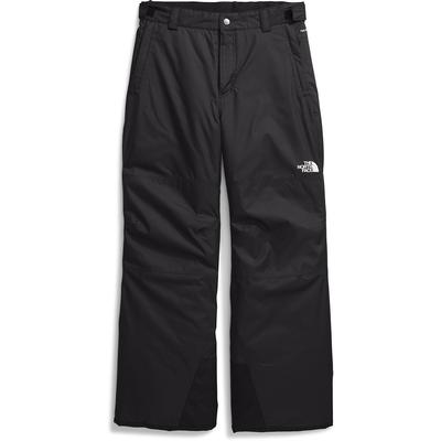The North Face Freedom Insulated Snow Pants Boys'