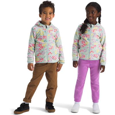 The North Face Glacier Full Zip Fleece Hoodie Kids'