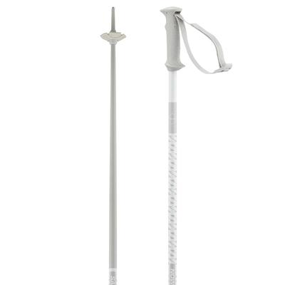 Salomon Polar Access Ski Poles