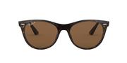 TORTOISE/BROWN