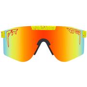 THE 1993 POLARIZED