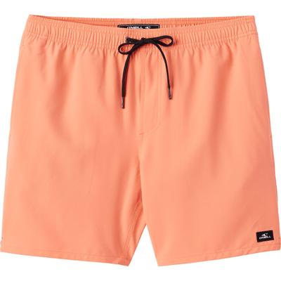 O'Neill Lennox Hermosa Solid 17 Inch Volley Shorts Men's