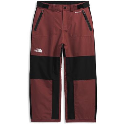 The North Face GTX Hex Pants Men's
