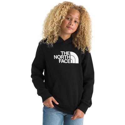 The North Face Teen Evolution Half Dome Pullover Hoodie