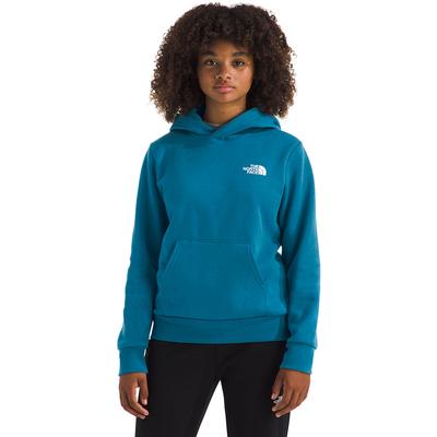 The North Face Teen Evolution Box NSE Pullover Hoodie