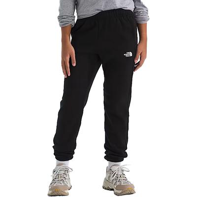 The North Face Teen Evolution Emb Pants