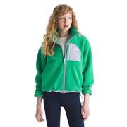 NEBULA GREEN/BLUE FLAX