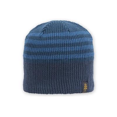 Pistil Grover Beanie Men's