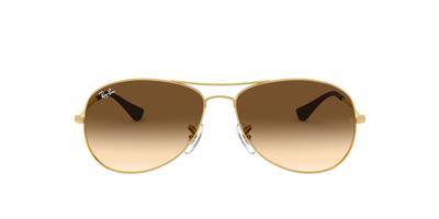 Ray Ban Cockpit Sunglasses