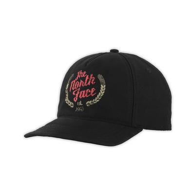 The North Face Sunwashed Ball Cap