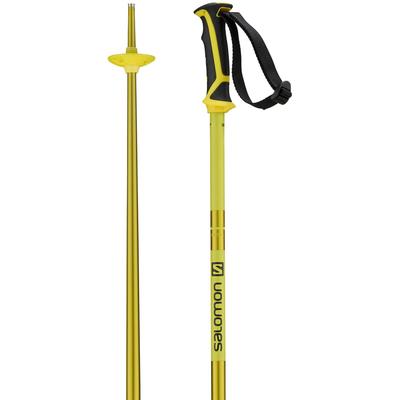 Salomon Arctic Ski Poles