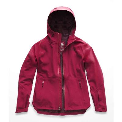 The North Face Apex Flex GTX Jacket Women's