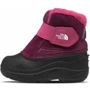 BOYSENBERRY/TNF BLACK