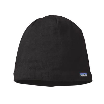 Patagonia Beanie Hat (Past Season)
