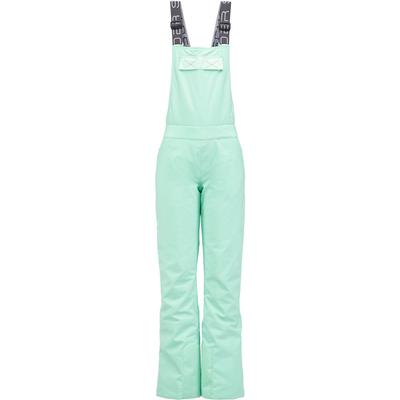 Spyder The Terrain GTX Bib Pants Women's