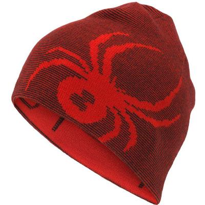 Spyder Reversible Bug Beanie Boys'
