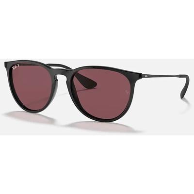Ray Ban Erika Sunglasses